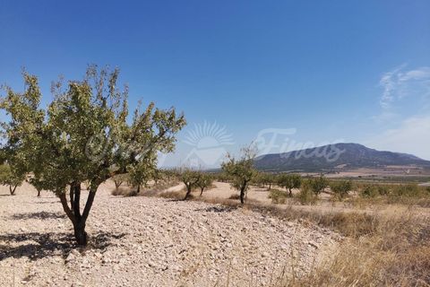Helårsgrund i Raspay, Murcia, Raspay - € 22.900 | Ref: SF0356 - foto 2